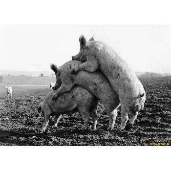 Lo MeJoR DeL eLeCtRo FlOw y ReGgAeToN